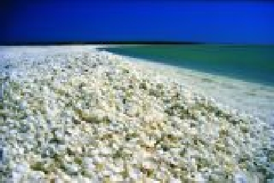 Shell Beach-22.Shell Beach, Australias Coral Coast.jpg